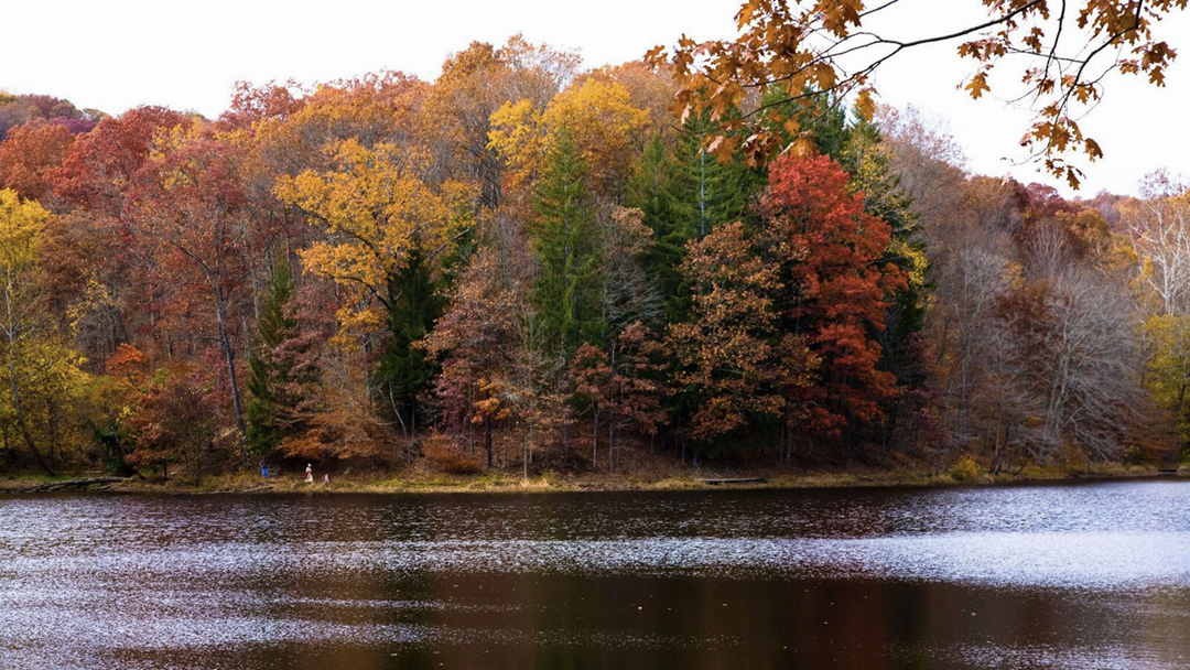 Wide shot of a calm lake with colorful fall foliage across the lake