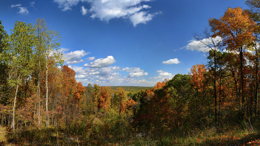 Bright blue sky with scattered fluffy clouds framed by bright fall foliage with red, orange, yellow and green hues