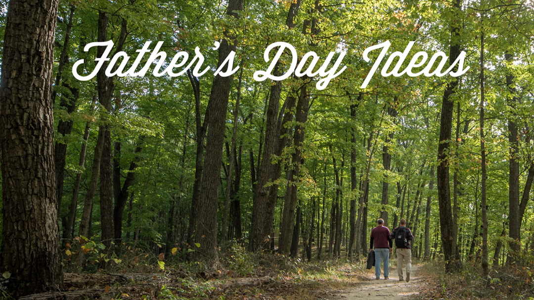 Father and son walking on a trail in the woods. Text at the top of the image read "Father's Day Ideas"