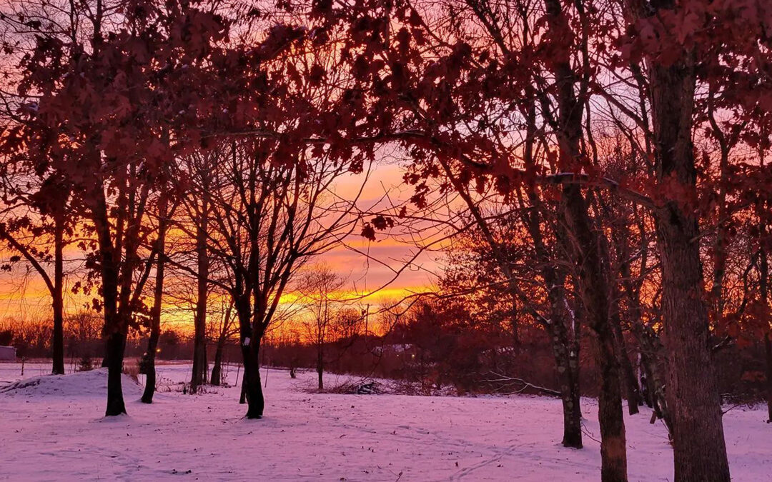 Winter sunset over a snow covered trail with trees scattered throughout