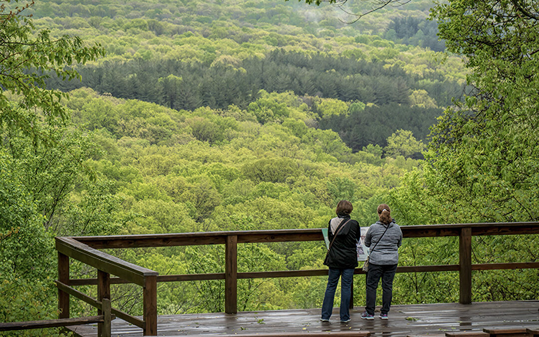 Two people standing at an overlook looking over a lush forest