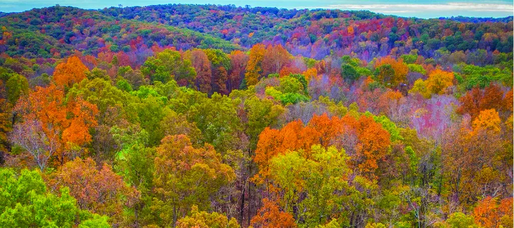 Aerial of brightly colored fall foliage with text reading "FALL GETAWAY GUIDE - The inside scoop on Brown County's Favorite Season"