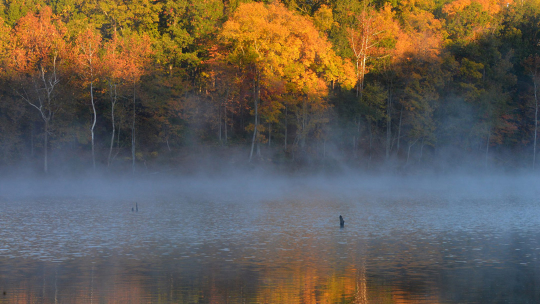 Mist rises off the water as the sun illuminates bright orange, yellow and green trees on a fall morning