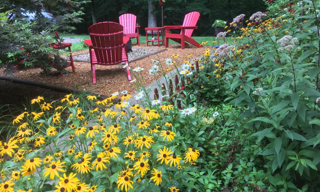 Red Adirondack chairs surrounded by greenery and yellow flowers.