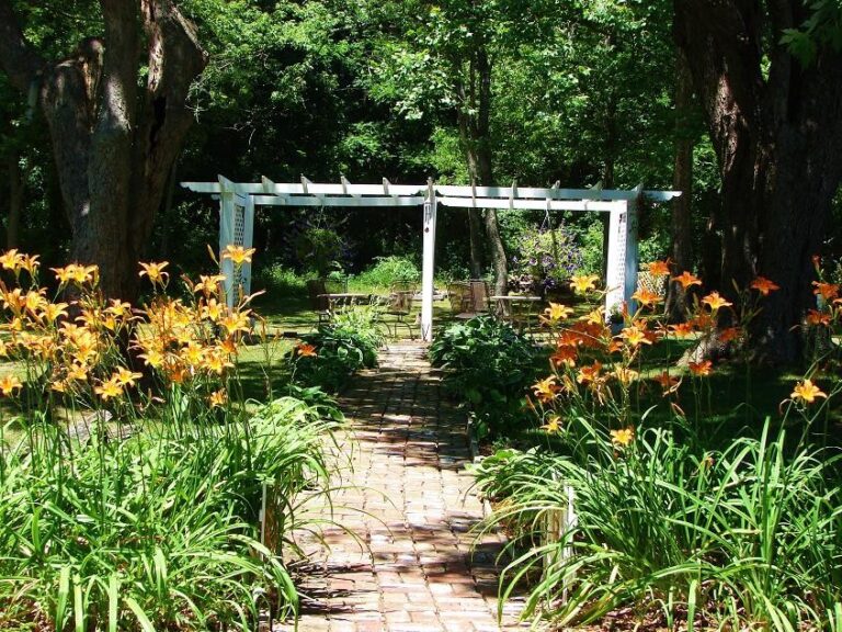 1875 Homestead Outdoor Area 768x576