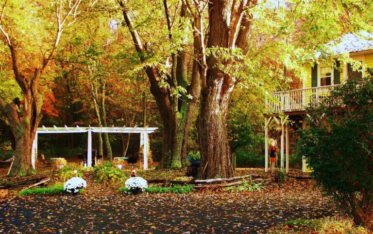 1875Homestead Fall 768x481