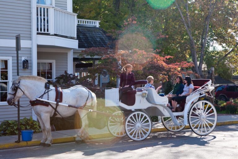 Brown County Carriages 2 768x512