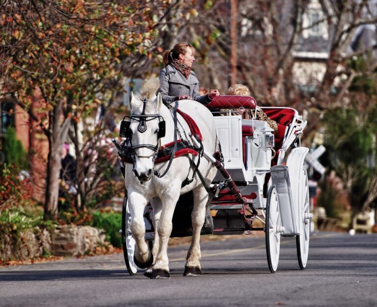 Brown County Carriages 768x627