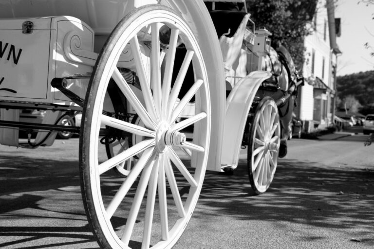 Brown County Carriages Carriage 768x512