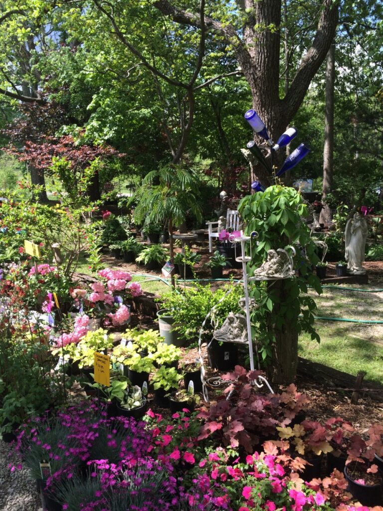 Farmhouse Cafe Gardens 768x1025