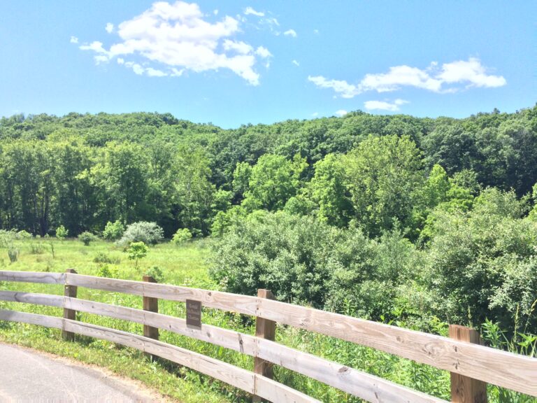 Salt Creek Trail 768x576