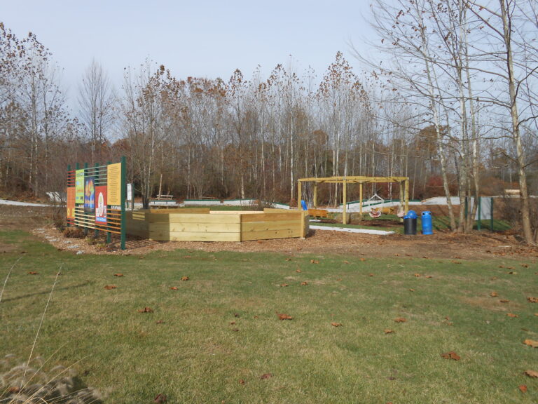 Skate Park 4 768x576