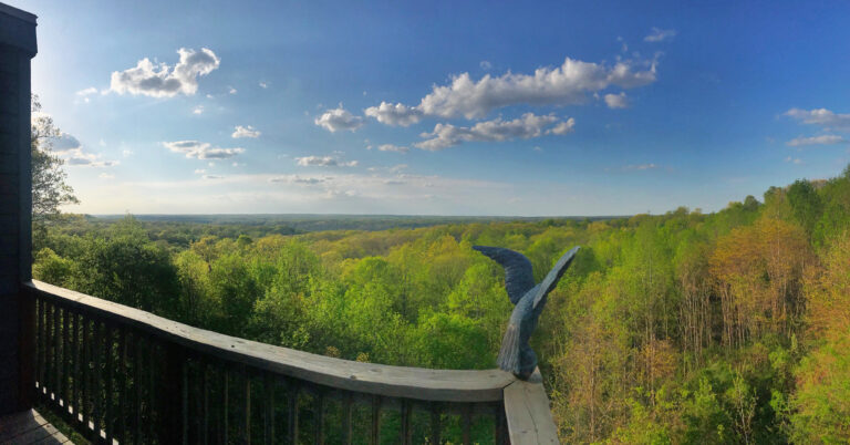 Treetop Retreat Deck View 768x402
