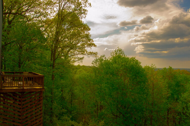 Treetop Retreat View 768x509