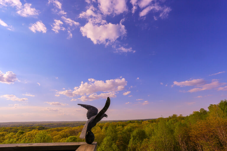 TreetopRetreat 4 768x512