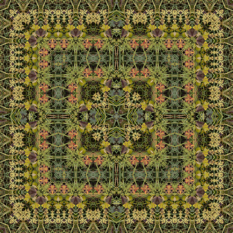 bill bateman 59 768x768