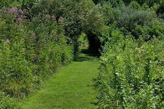 hiking trail deer run 540x360 1