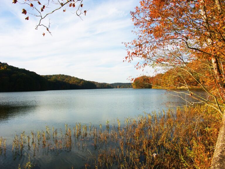 yellowwood state forest lake 768x576