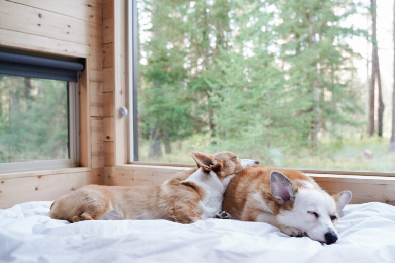 IND Brown County Airbnb 4 768x512