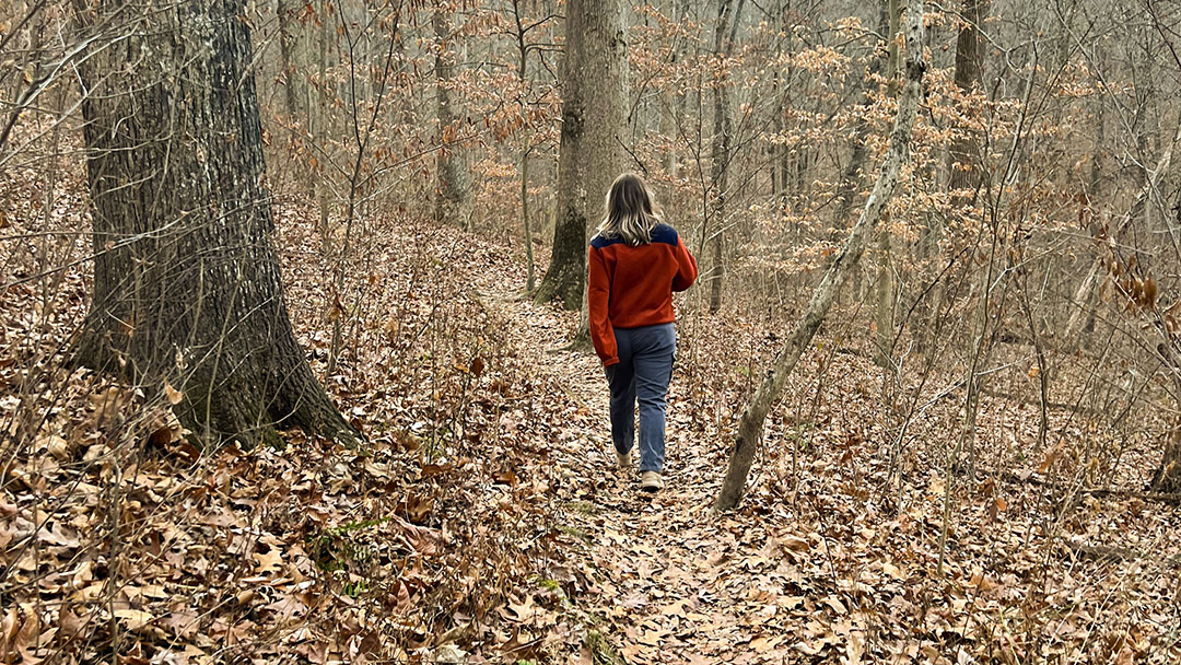 Hiking Trails - Brown County State Park, Indiana