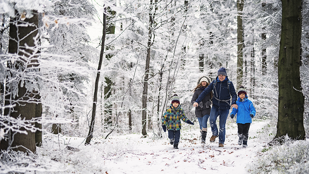 Four family members running in beautiful winter forest.