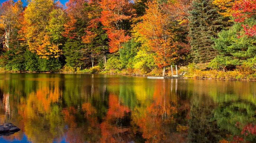 Brown County Wilderness Boat Tour