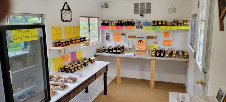 Resized 20230907 150908 768x346