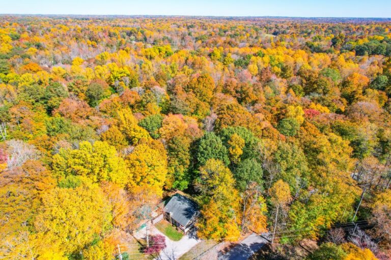 Charley Drone 16 of 22 768x512