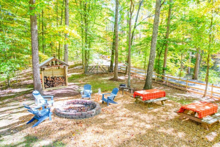 Charley Drone 2 of 22 768x512