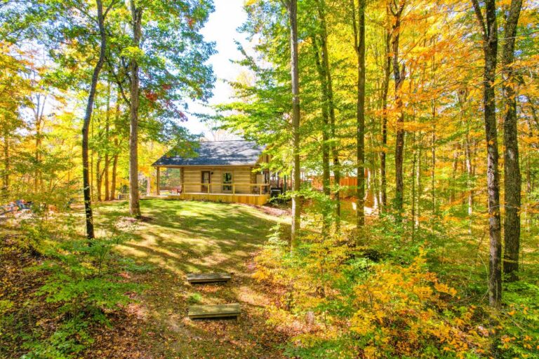 Charley Drone 6 of 22 768x512