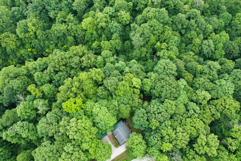 Charleys 2022 drone 1 resized 768x512