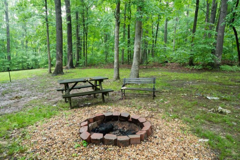 GrandmaBarnes 28 768x512