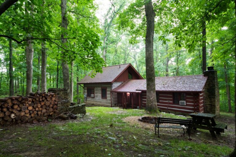 GrandmaBarnes 30 768x512