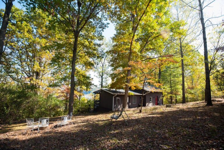 Lake House2 15 768x513