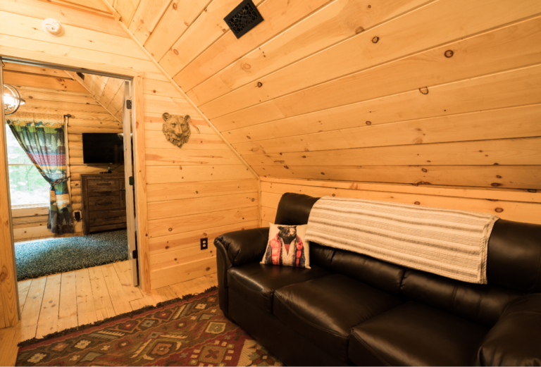 Pollie 29 rs 768x521