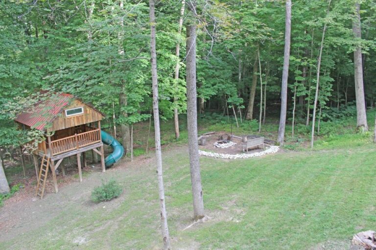 lemon ridge backyard 768x511