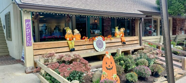 20220923 1301222 768x345