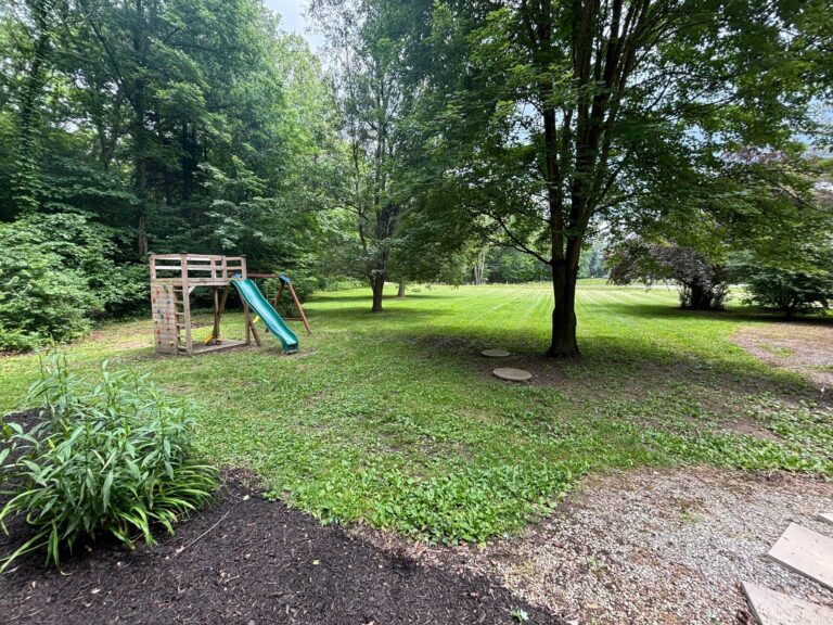 i048007 1 optimized 2000 768x576