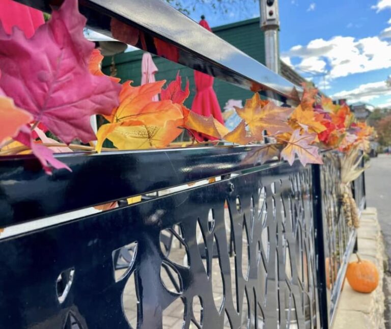 394562751 794176726053487 2970806008723529907 n 768x646