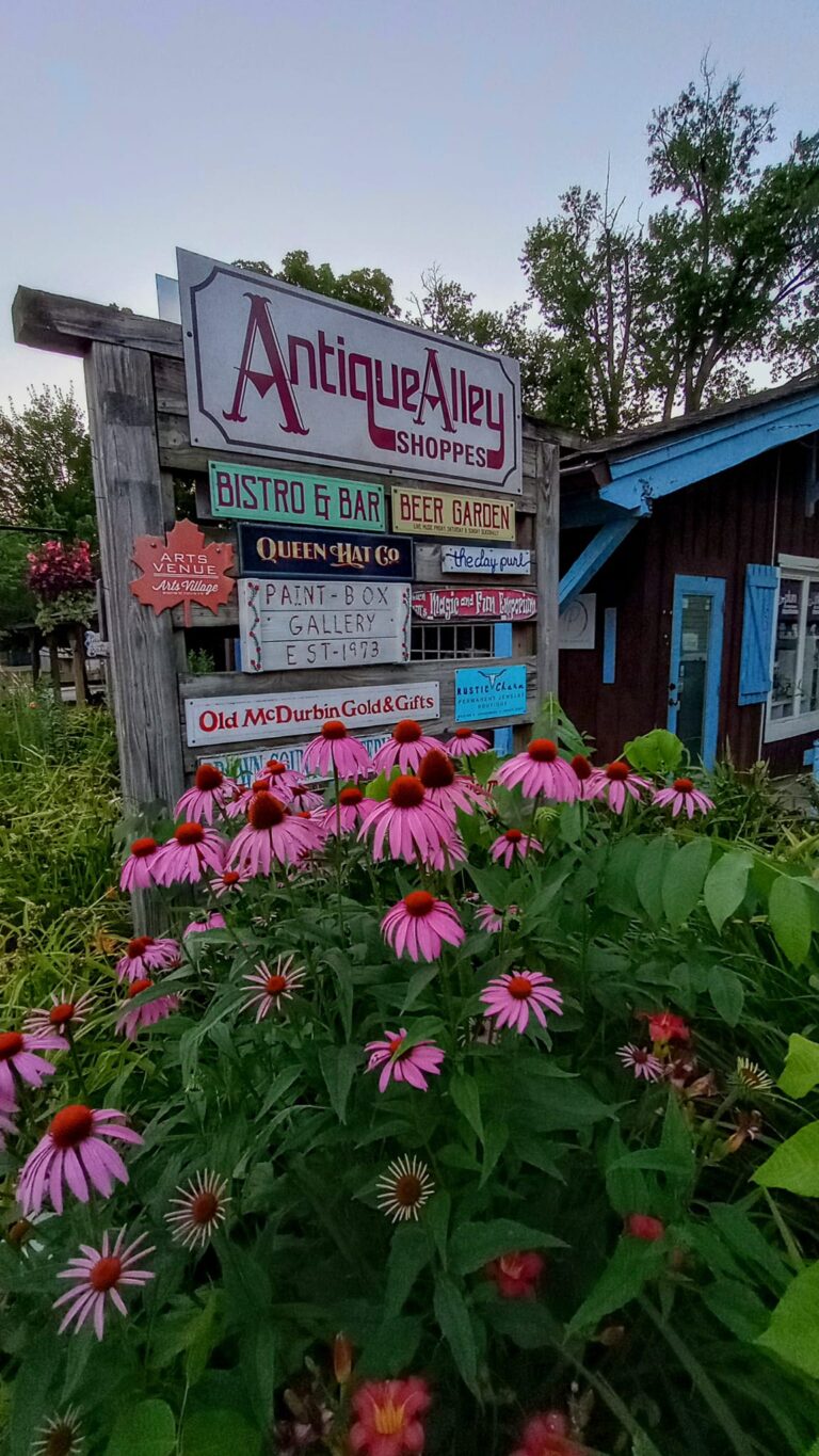 449209545 2638050196382080 5876634938643783287 n 768x1365