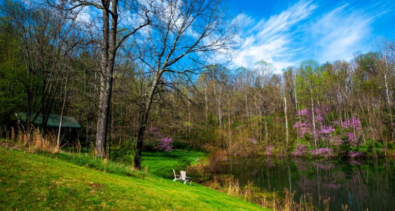 i019904 preview 768x411