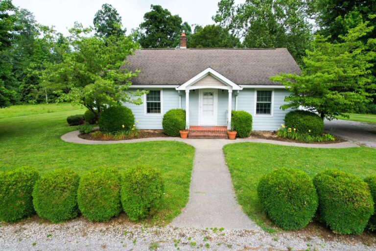 i043940 preview 768x512