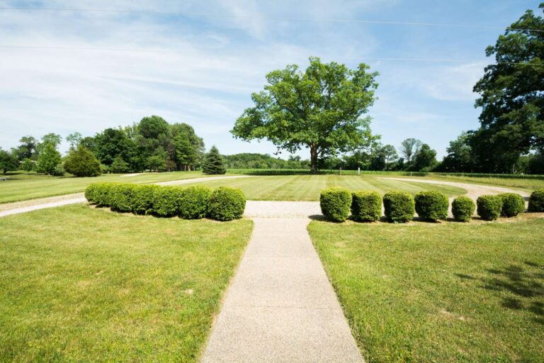 i085842 preview 768x512