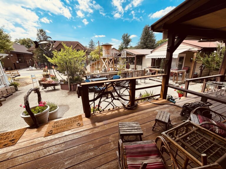 thumbnail IMG 2290 768x576