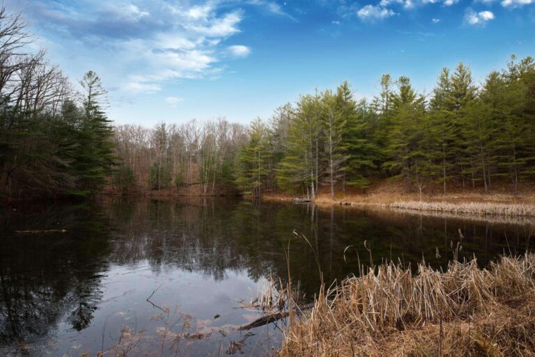 unnamed file 768x513