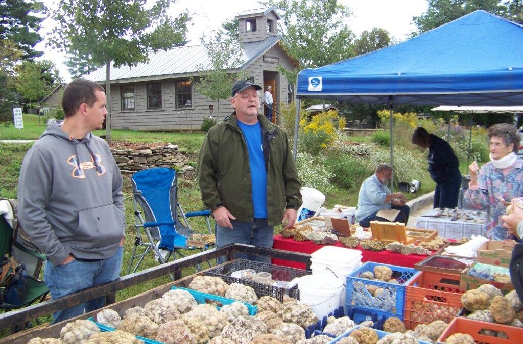 9th Annual Brown County Rock & Mineral Show