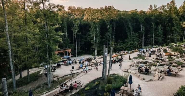 Untitled design 70 1 768x402