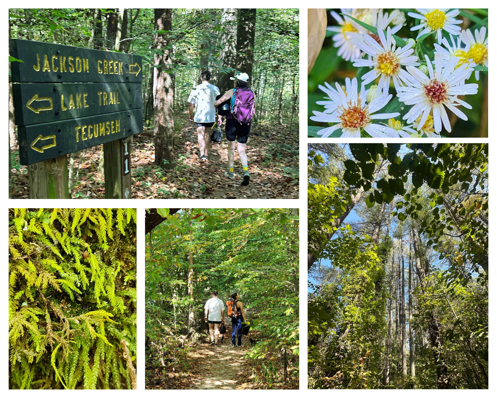 Jacksons Creek Trailhead