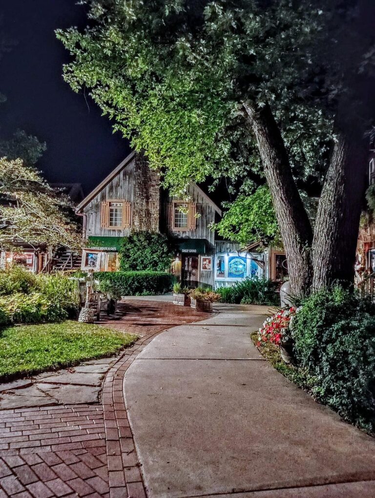 460956660 1109027801225563 8129762838396083548 n 768x1020