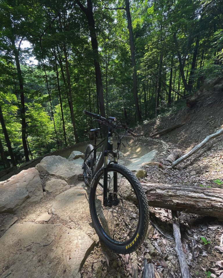 pedegocarmel Instagram 3715 ig 18225382030225313 copy 768x960